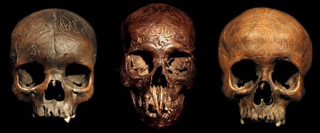 Dayak Carved Trophy Skulls - trophy, head-hunters, human, skulls, dayak, sockets, borneo, carved, teeth