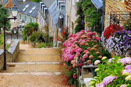 French street - flowers, street, stairs, summer, plants, colors, france, buildings