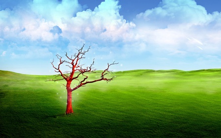 Strange world - cloud, sky, field, tree, abstract, grass