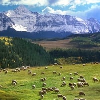 Colorado Landscape