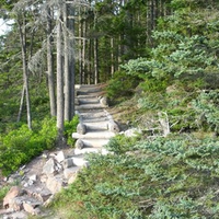 Acadia National Park Walk