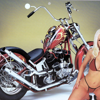 flathead harley and friend