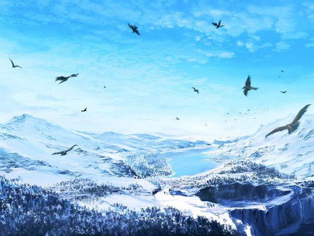 Nature Sky - nice, sky, snow, blue, winter, wallpaper, birds