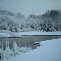 frosty pond