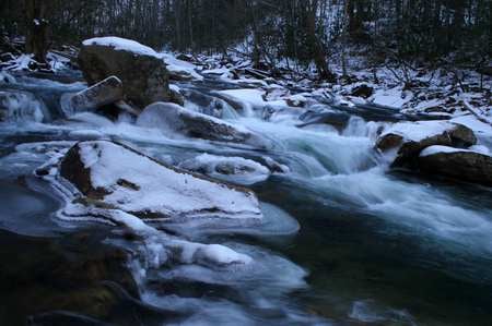 Forest stream cold queen - frost, cold, branch, woods