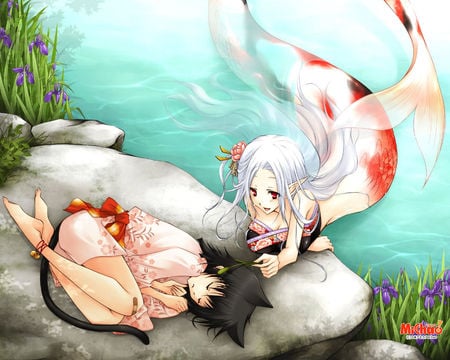 mermaid and kitty - fish, anime, girl, color