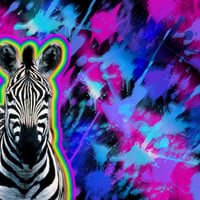 zeebra rainbow background