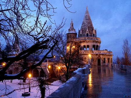 Russia in Winter - moon, trees, russia, night, winter, road, wonderful house, snow, lights