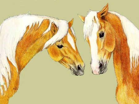 Friends forever - horses, love, always, forever, beautiful, friendship, friends