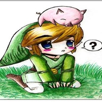 Toon link and a pig