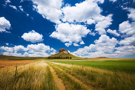 Golden field - nature, field, landscape, cloud