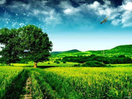 The magic tree - cloud, landscape, field, tree, nature, grass