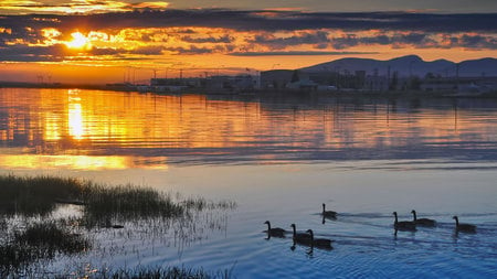 Towards The Sun - water, scenery, majestic, scenic, sunrise, wild life, skies, sunset, nature, beautifulm scene, lake, mountains, ducks, sky