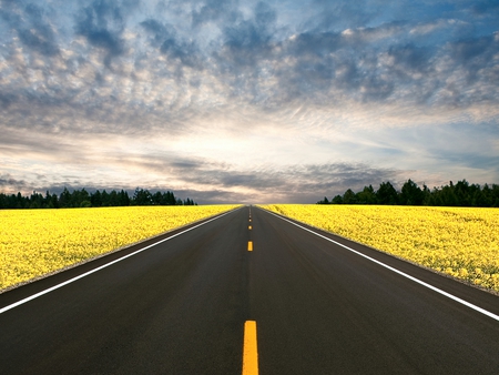 Road To... - clouds, trees, yellow, blue, beautiful, road, beauty, colors, lovely, flowers, nature, field, peaceful, sky