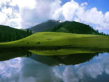 Beautiful place - beauty, sky, trees, water, mountains, sesons, white, lakes, reflections, clouds, green, landscape, background, summer, nature, beautiful, blue, colors