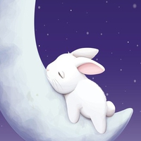 cute white bunny