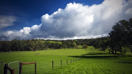 The Green Hills of Home - fields, sky, trees, hills, nature, sheep, cows, rural, blue, beautiful, clouds, green, pasture, land