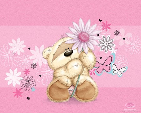 CUTIE BEAR - cute, little, pink, brown