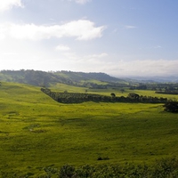 Byron Bay Hinterland