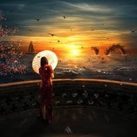 evening sun