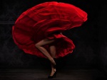 Flamenco