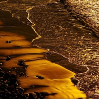 Golden Waves