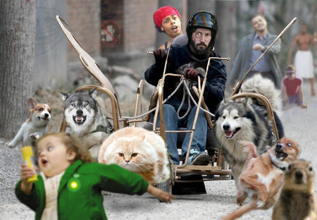 Run For Your Life Kid! - kid, helmet, monocle, cat, dog, leonardo dicaprio, sled