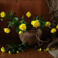 still life
