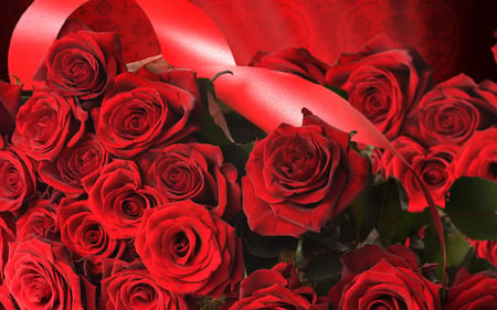 Red Roses - roses, pretty, blossoms, romantic, red roses, romance, flowers, plants, nice, valentine day, blooms, delicate, for you, red rose, valentines day, beauty, love, still life, flower, petals, nature, passion, valentine, bright colors, tender, red, ribbon, beautiful, photography, lovely, with love, soft, rose