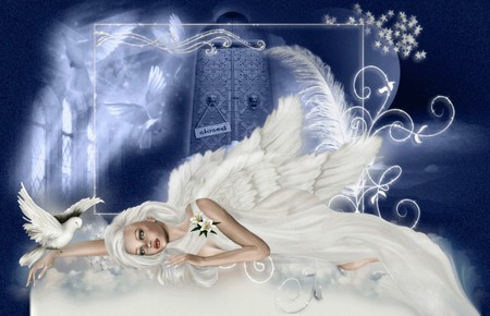 HEAVEN - heaven, abstract, withe, female, dove, dress, angel, door, fantasy