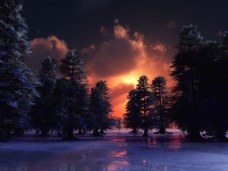 ICE FOREST - ice, sky, forest, clouds, sunset