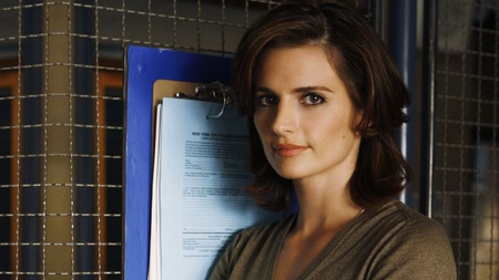 Stana Katic - beautiful, tv series, heroes, drama, actress, film, stana katic, crime, sexy, castle