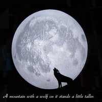 Moon wolf