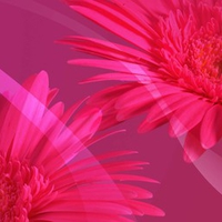Living Flower