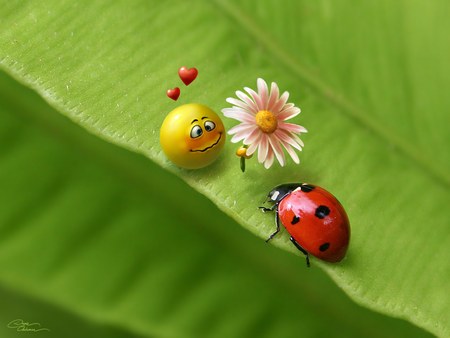 Lovesmiley - ladybird, flower