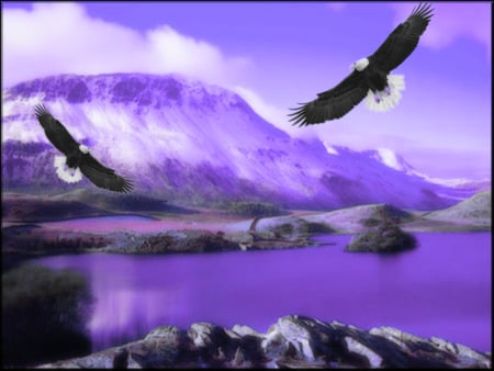 Soaring To New Heights - art, eagle, eagles, animals, manipulated, bird, birds