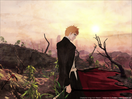 bleach-kurosaki_ichigo - bleach-kurosaki-ichigo