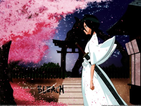 bleach-kuchiki_rukia - bleach-kuchiki-rukia