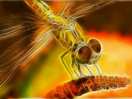 dragonfly - abstract, dragonfly, animals, 3d