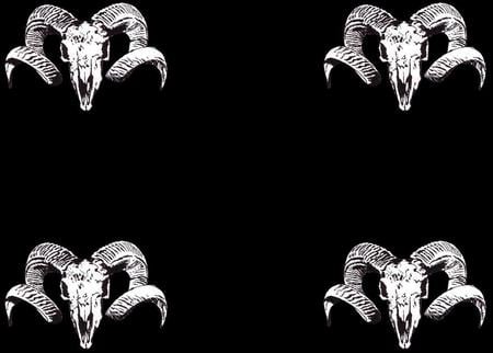 Horns - rams, skulls, sheep