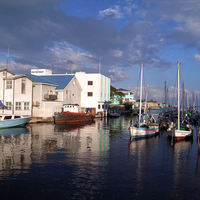 Habor from Belize