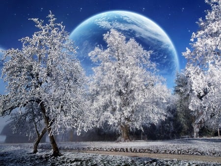 Magic Winter !!! - abstract, blue, photography, planet, background, tree