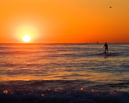 surf - surfing, paddle, sea, sun