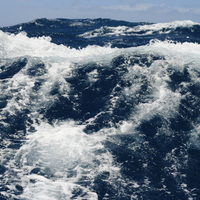 View From Boat