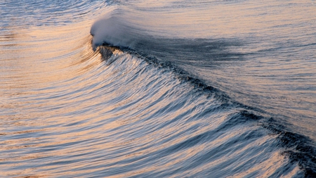 Rolling Wave - water, rolling, sea, wave