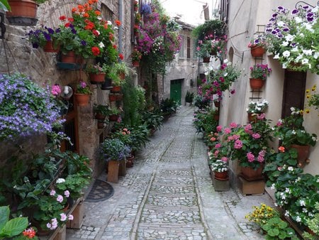 beautiful street - old, street, houses, beautiful, flowers