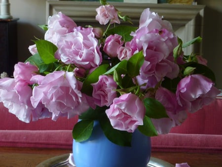 pink roses - bouquet, roses, pink, vase