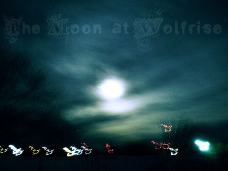 The Moon at Wolfrise - moon, night, blue, werewolf