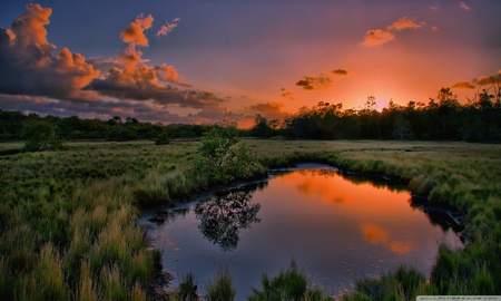 Sunset summer - summer, landscape, river, tree, sunset, grass