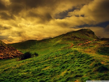 Summer day - summer, landscape, cloud, grass